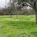 度假居 Le Domaine Des Amours
